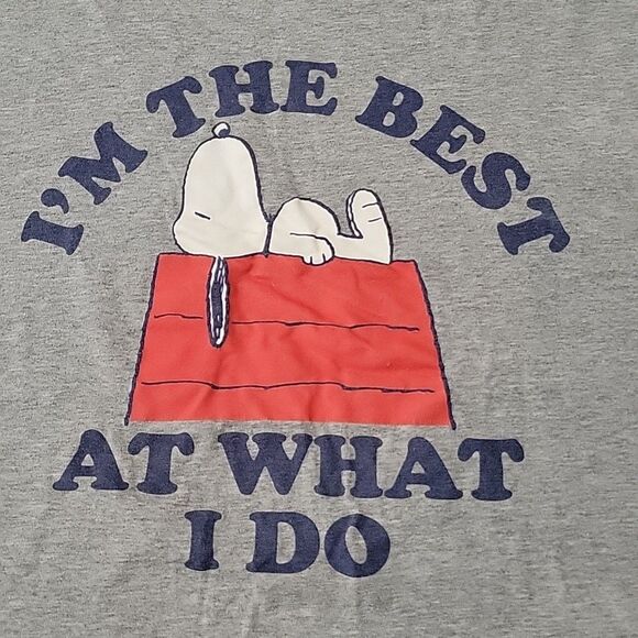 Peanuts Other - Snoopy The Peanuts Tshirt Gray I'm The Best At What I Do Size XL Charlie Brown
